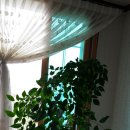 이백농장 이미지