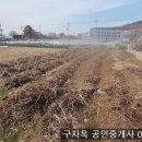 강화중학교 이미지