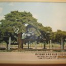 예천초등학교 이미지