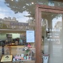 펫소울메이트 이미지