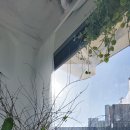 플라워달하
