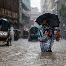 토마토의원 이미지