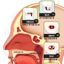 진사이언스 이미지