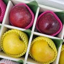 행복청과 | 과일 선물의 모든 것, 순천 행복청과! 🍎🍈