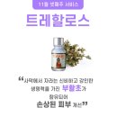 스파에코 화곡점