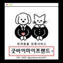 마이프랜드153
