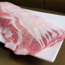 신흥대패 이미지