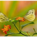 곤충생태관_1 이미지