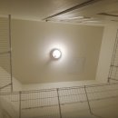 818 당구장 이미지