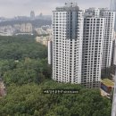 국제어린이집 옥상 이미지