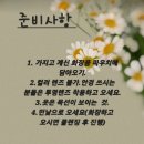 미스봄 | 전북 전주 퍼스널컬러 '미스데이지' 봄웜트루 진단 후기