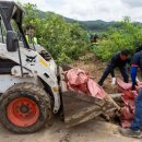 자옥산 맥반석 이미지