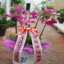 윤혜정산부인과의원 이미지