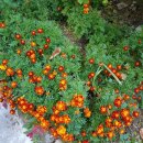 건전노래연습장2 이미지