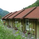 자작나무펜션 캠핑장 이미지