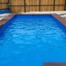 강아지풀 애견 이미지