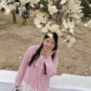 주차22 | 창원 충혼탑 목련 만개 🌸 3월 22일 기준 실시간 후기 + 주차 꿀팁