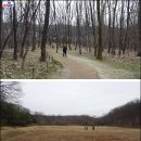 황도면옥 이미지