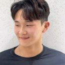 호네헤어