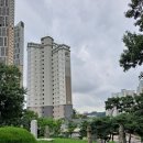 정유선생묘 이미지