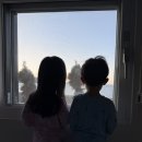 캐슬529 키즈풀빌라 | 남편 생일맞이 남해 캐슬529 키즈풀빌라 여행후기