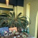 가든인 송정 | 부산 송정 맛집 씀모이가든 송정점 나트랑 현지 느낌 베트남 음식 후기