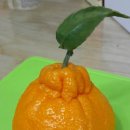 함초롬농원 이미지