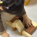 소리의 숲 | 돌아기 원목교구추천 숲소리 영유아블록 22P 사용 후기