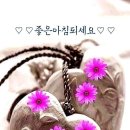 송미향