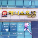애니소호미술학원