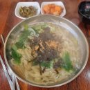 국시앤요기