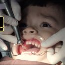 전주동물병원 이미지