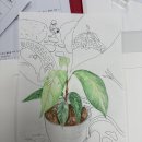 중앙실험동물(주) | 🌏생태적 관점으로 진행한 🎄내가경험하고 느낀 2025🎄 후기