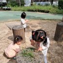 뒷말어린이공원 Daum카페