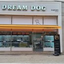 드림독 강아지분양 안심분양센터 인천점 이미지