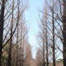 서문안내소 | 순천만 국가정원 겨울 자전거 입장료 한적한 방문 후기