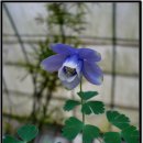 사월농장 이미지