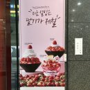 설빙가락시장역점 - 96632 | 설빙가락시장역점