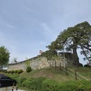 초지진 | [인천 강화도] 드라이브 추천 초지진 방문 후기