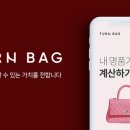 턴백
