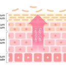 성수멜팅의원 이미지