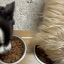 인프라소닉웨이브 이미지