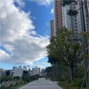 광안자이부동산중개사무소 | 광안자이아파트: 광안리 중심에서 빛나는 주거와 투자의 기회