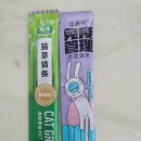 Pet snack(펫스낵) | 중국어로 츄르 고양이간식 猫条 māotiáo 중국어단어 공부