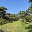 스테이246 이미지