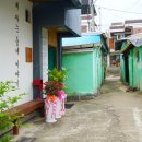 유구시장 이미지