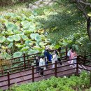 산림