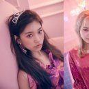 위키