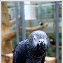 경주버드파크 이미지