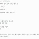 메가스템